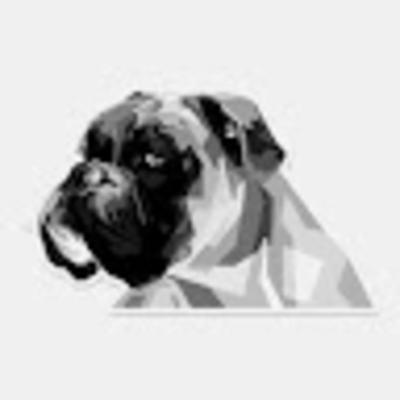 Meet your Posher, Christopher - Picture 1 of 1